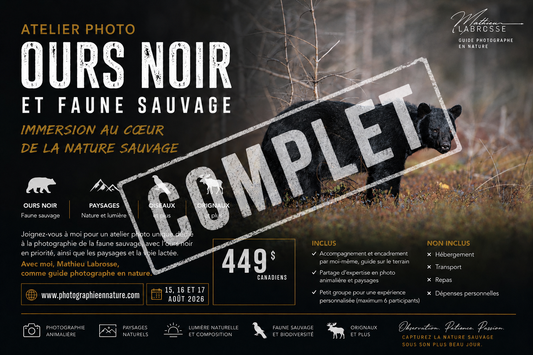 [COMPLET] ATELIER PHOTO FAUNE SAUVAGE – ONTARIO 15, 16 et 17 août 2026